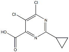 5,6-Dichloro-2-cyclopropyl-pyrimidine-4-carboxylic acid CAS#: 858956-27-1