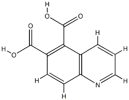5,6-Quinolinedicarboxylicacid(4CI) CAS#: 855764-12-4