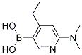 6-(diMethylaMino)-4-ethylpyridin-3-ylboronic acid CAS#: 848360-83-8