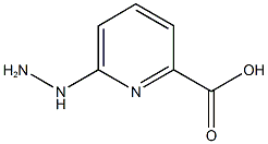 6-hydrazinylpicolinic acid CAS#: 887589-20-0