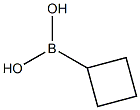 CYCLOBUTYLBORONIC ACID CAS#: 849052-26-2