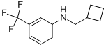 CYCLOBUTYLMETHYL-(3-TRIFLUOROMETHYL-PHENYL)-AMINE CAS#: 887590-49-0