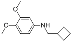 CYCLOBUTYLMETHYL-(3,4-DIMETHOXY-PHENYL)-AMINE CAS#: 887588-17-2