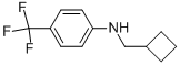 CYCLOBUTYLMETHYL-(4-TRIFLUOROMETHYL-PHENYL)-AMINE CAS#: 887590-17-2