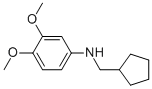 CYCLOPENTYLMETHYL-(3,4-DIMETHOXY-PHENYL)-AMINE CAS#: 887589-91-5