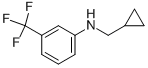 CYCLOPROPYLMETHYL-(3-TRIFLUOROMETHYL-PHENYL)-AMINE CAS#: 887590-43-4