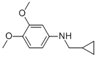 CYCLOPROPYLMETHYL-(3,4-DIMETHOXY-PHENYL)-AMINE CAS#: 887588-08-1