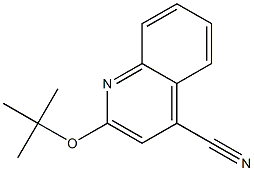 Cinchoninonitrile, 2-tert-butoxy- (4CI) CAS#: 855165-25-2