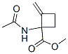Cyclobutanecarboxylic acid, 1-(acetylamino)-2-methylene-, methyl ester CAS#: 853305-15-4