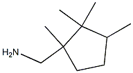 Cyclopentanemethylamine, 1,2,2,3-tetramethyl- (3CI) CAS#: 859817-25-7