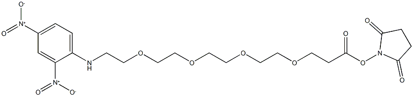 DNP-PEG4-NHS ester CAS#: 858126-78-0