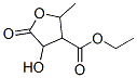 ETHYL 4-HYDROXY-2-METHYL-5-OXOTETRAHYDROFURAN-3-CARBOXYLATE CAS#: 855645-24-8