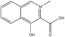 Isoquinolinium, 3-carboxy-4-hydroxy-2-methyl- (6CI) CAS#: 855294-67-6