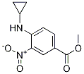 Methyl 4-(cyclopropylaMino)-3-nitrobenzoate CAS#: 848819-82-9