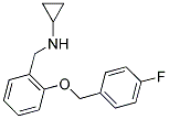 N-(2-((4-FLUOROBENZYL)OXY)BENZYL)CYCLOPROPANAMINE CAS#: 880813-15-0