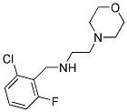 N-(2-CHLORO-6-FLUOROBENZYL)-2-MORPHOLIN-4-YLETHANAMINE CAS#: 880810-88-8