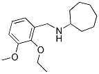 N-(2-ETHOXY-3-METHOXYBENZYL)CYCLOHEPTANAMINE CAS#: 880812-52-2