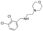 N-(2,3-DICHLOROBENZYL)-2-MORPHOLIN-4-YLETHANAMINE CAS#: 880810-07-1