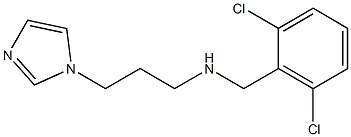 N-(2,6-dichlorobenzyl)-3-(1H-imidazol-1-yl)propan-1-amine CAS#: 861440-83-7