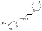 N-(3-BROMOBENZYL)-2-MORPHOLIN-4-YLETHANAMINE CAS#: 880812-05-5