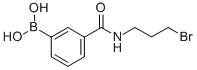 N-(3-BROMOPROPYL) 3-BORONOBENZAMIDE CAS#: 850567-42-9