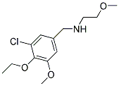 N-(3-CHLORO-4-ETHOXY-5-METHOXYBENZYL)-2-METHOXYETHANAMINE CAS#: 880812-74-8