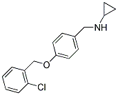 N-(4-((2-CHLOROBENZYL)OXY)BENZYL)CYCLOPROPANAMINE CAS#: 880810-59-3