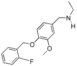 N-(4-((2-FLUOROBENZYL)OXY)-3-METHOXYBENZYL)ETHANAMINE CAS#: 861451-95-8