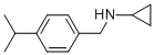N-(4-ISOPROPYLBENZYL)CYCLOPROPANAMINE CAS#: 848658-77-5