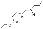 N-(4-ethoxybenzyl)-N-propylamine CAS#: 869942-62-1