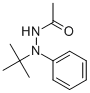 N'-TERT-BUTYL-N'-PHENYLACETOHYDRAZIDE CAS#: 885669-12-5