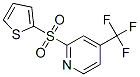 PYRIDINE, 2-(2-THIENYLSULFONYL)-4-(TRIFLUOROMETHYL)- CAS#: 882292-13-9