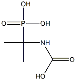 Phosphonic acid, (1-carboxyamino-1-methylethyl)- (5CI) CAS#: 872813-45-1