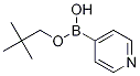 Pyridine-4-boronic acid, neopentyl ester CAS#: 869901-52-0