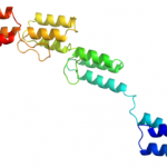 Struktura rekombinowanego białka A CAS 91932-65-9