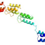 재조합 단백질 A CAS 91932-65-9의 구조