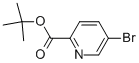 TERT-BUTYL 5-BROMOPYRIDINE-2-CARBOXYLATE 98 CAS#: 845306-08-3
