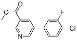 methyl 5-(4-chloro-3-fluorophenyl)pyridine-3-carboxylate CAS#: 893734-89-9