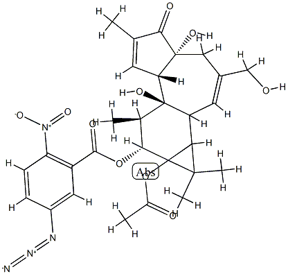 12-O-(5-azido-2-nitrobenzoylphorbol)-13-acetate CAS#: 96657-96-4