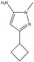 1H-Pyrazol-5-amine, 3-cyclobutyl-1-methyl- CAS#: 92406-41-2