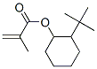 2-(1,1-dimethylethyl)cyclohexyl methacrylate CAS#: 94134-45-9