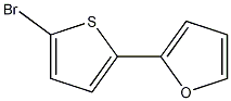 2-(5-bromo-2-thienyl)Furan CAS#: 91891-82-6