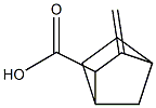 2-Norbornanecarboxylicacid,3-methylene-(7CI) CAS#: 90534-44-4