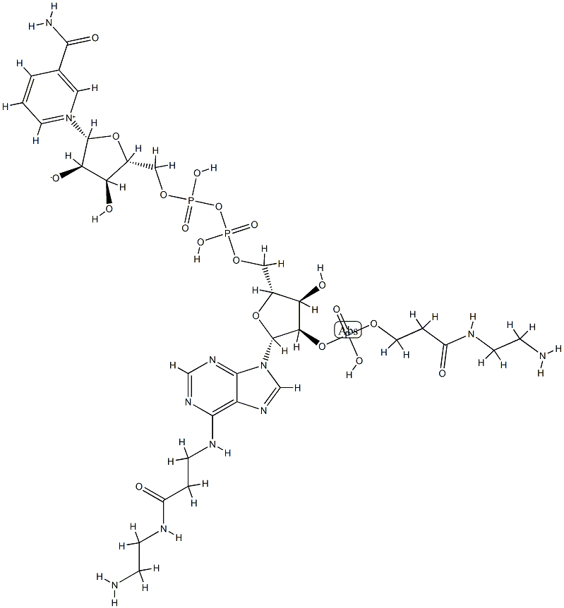 2'-(O)-(N-(2-aminoethyl)carbamoylethyl)phosphono-N(6)-(N-(2-aminoethyl)carbamoylethyl)NAD CAS#: 95754-68-0