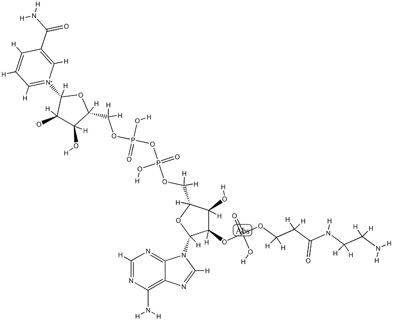 2'-O-(N-(2-aminoethyl)carbamoylethyl)phosphono-NAD CAS#: 95754-66-8