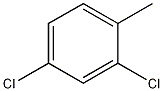 2,4-Dichlorotoluene CAS#: 95-73-8
