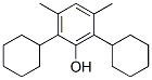 2,6-dicyclohexyl-3,5-xylenol CAS#: 93840-44-9
