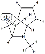 2,7-Methano-1H-cyclopentapyrazin-3(2H)-one,4,4a,7,7a-tetrahydro-1-methyl-,(2-alpha-,4a-bta-,7-alpha-,7a-bta-)-(9CI) CAS#: 97911-59-6