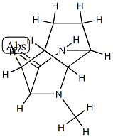 2,7-Methano-1H-cyclopentapyrazin-3(2H)-one,hexahydro-1-methyl-,(2-alpha-,4a-bta-,7-alpha-,7a-bta-)-(9CI) CAS#: 97911-60-9