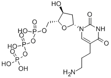 ((2R,3S,5R)-5-(5-(3-Aminopropyl)-2,4-dioxo-3,4-dihydropyrimidin-1(2H)-yl)-3-hydroxytetrahydrofuran-2-yl)methyl tetrahydrogen triphosphate CAS#: 90015-82-0